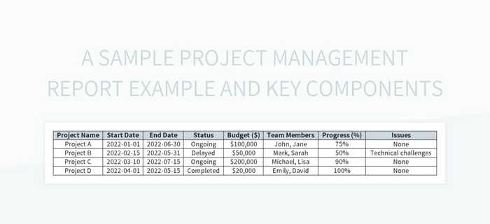 A Sample Project Management Report Example And Key Components Excel ...